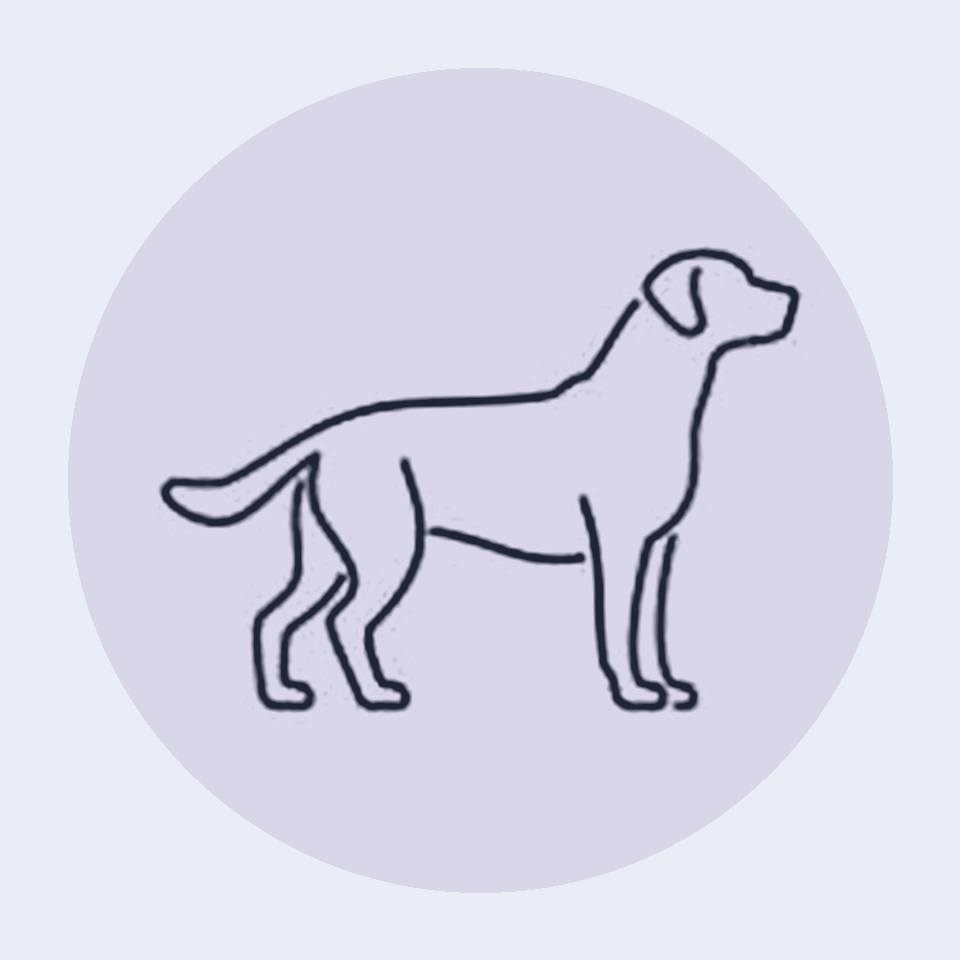 Dog outline