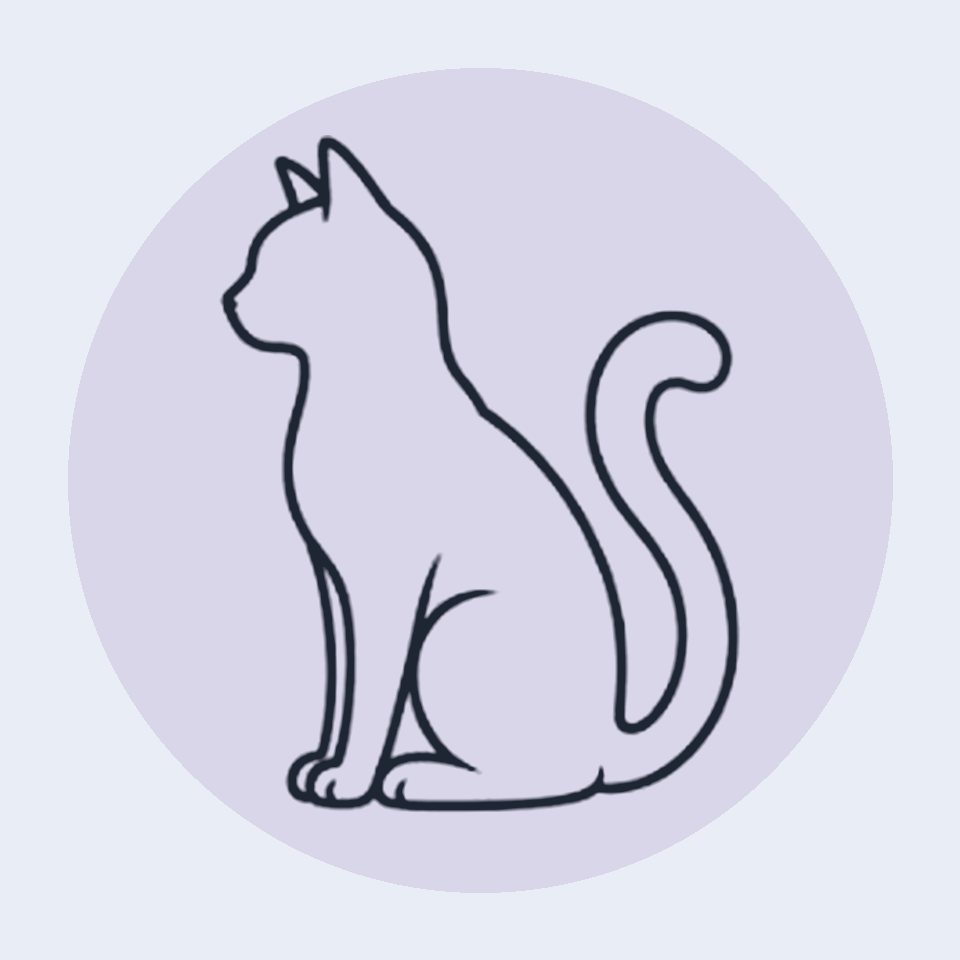 Cat outline
